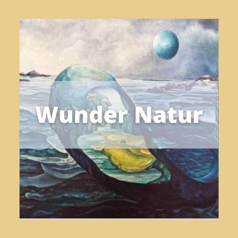 Wunder Natur_Solingen_Austellung_Singen_SeeleundSingen