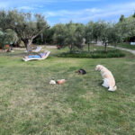 Singen am Meer - Sardinien 1