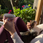 Singen am Meer - Sardinien 2