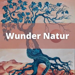 Wunder Natur - Museum