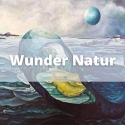 Wunder Natur_Solingen_Austellung_Singen_SeeleundSingen